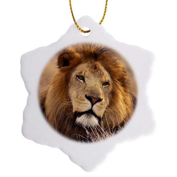 3drose, Africa. Male African Lion (panthera Leo) - Na02 Swe0030 - Stuart Westmorland, 3 inch Snowflake Porcelain Ornament