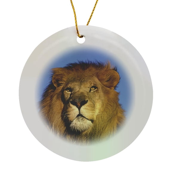 3drose, Africa. Male African Lion (panthera Leo) - Na02 Swe0032 - Stuart Westmorland, Circle Porcelain Ornament