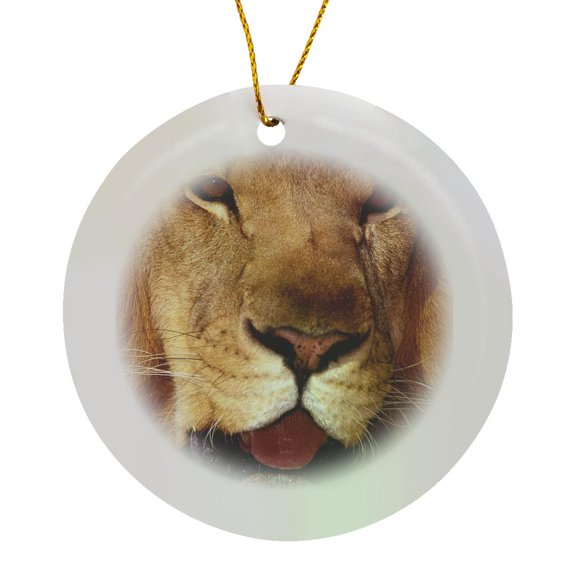 3drose, Africa. Male African Lion (panthera Leo) - Na02 Swe0033 - Stuart Westmorland, Circle Porcelain Ornament
