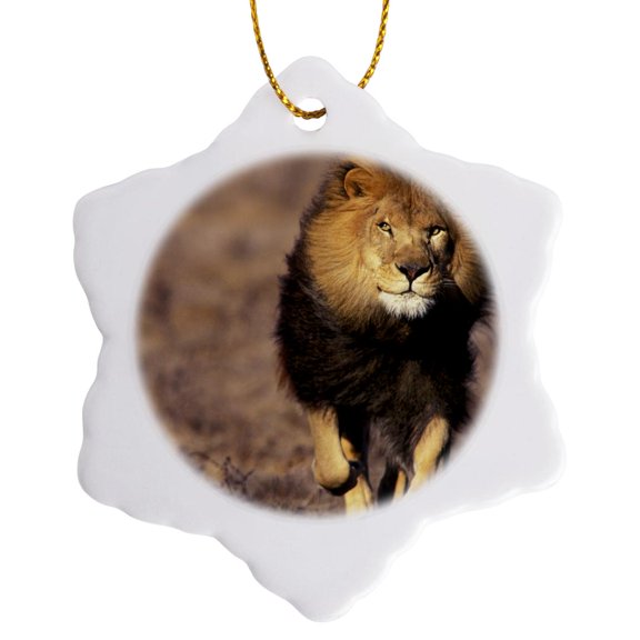 Africa. Male African Lion (Panthera Leo) - Na02 Swe0034 - Stuart Westmorland, 3 inch Snowflake Porcelain Ornament