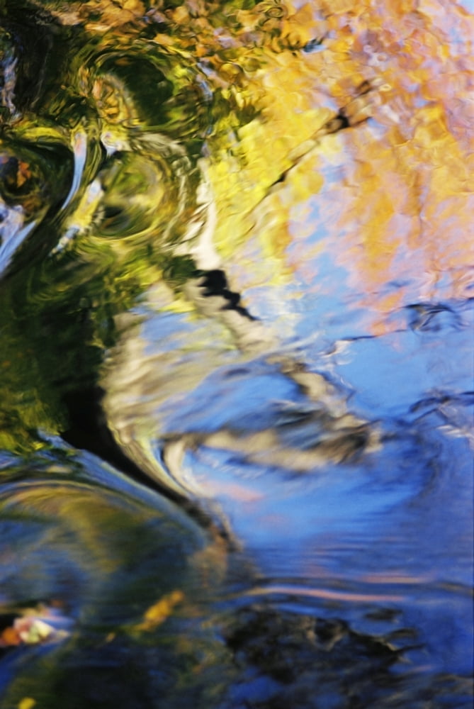 Africa Massachusetts Seekonk Caratunk Wildlife Refuge Colorful Reflections On Water Canvas Art - Joanne Baldaia Design Pics (11 x 17)