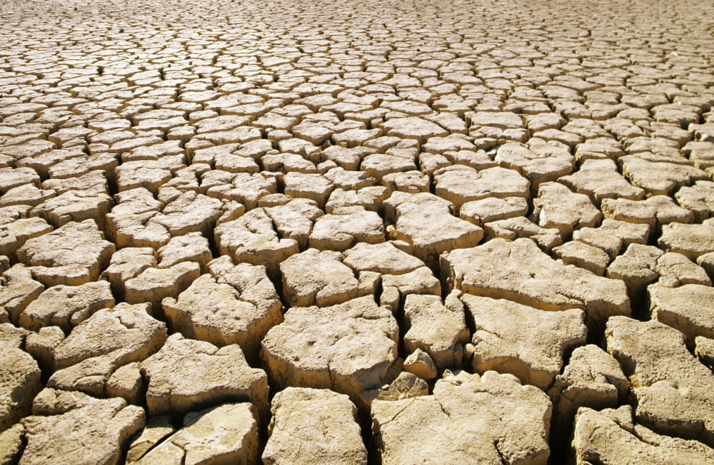 Africa Namibia Detail Of Cracked Mud In Dry Lake Bed Canvas Art - Larry Dale Gordon Design Pics (17 x 11)