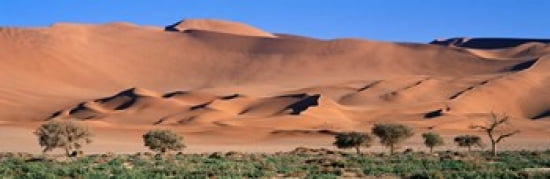 Africa Namibia Namib Desert Canvas Art - Panoramic Images (36 x 12)