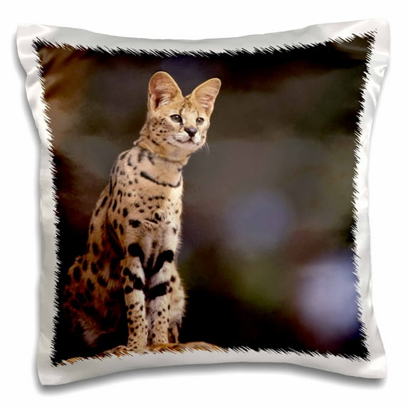 3dRose, Africa. Serval (Felis serval), wildlife - NA02 SWE0036 - Stuart Westmorland, 16x16 inch Pillow Case