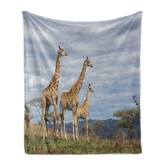 Africa Soft Flannel Fleece Throw Blanket, Giraffe Family Looking at the Skyline in Savannah Grassland with Shrubs Print, Cozy Plush for Indoor and Outdoor Use, 50" x 70", Tan Blue, by Ambesonne