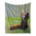 thumbnail image 1 of Africa Soft Flannel Fleece Throw Blanket, Panda on the Field Playing Bamboo Branches Native Himalaya Mountains, Cozy Plush for Indoor and Outdoor Use, 50" x 70", Brown Red, by Ambesonne, 1 of 5