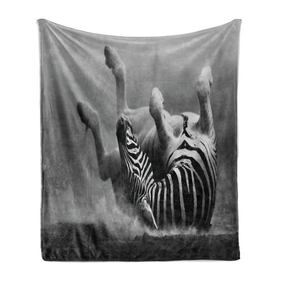 Africa Soft Flannel Fleece Throw Blanket, Zebra Rolling in the Dust Savage Animal Mammal Activity Eco Photo, Cozy Plush for Indoor and Outdoor Use, 70" x 90", Black and White, by Ambesonne