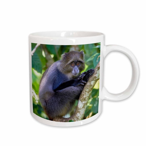 3drose, Africa. Tanzania. Blue Monkey Sitting in a Tree at Arusha Np., 15oz Mug