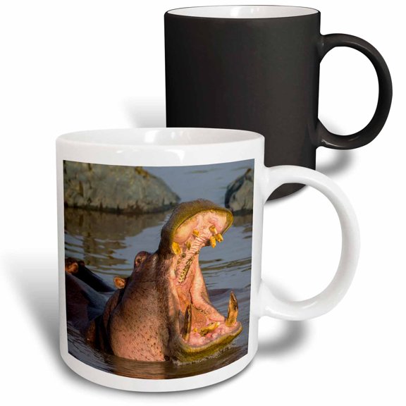 3drose, Africa. Tanzania. Hippopotamus Yawning in Serengeti Np., 11oz Magic Transforming Mug