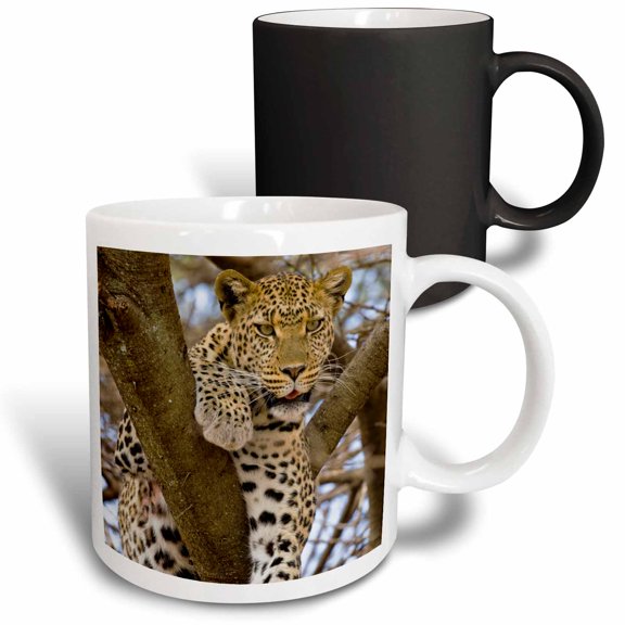 3drose, Africa. Tanzania. Leopard in Tree at Serengeti Np-af45 Rbe0092 - Ralph H. Bendjebar, 11oz Magic Transforming Mug