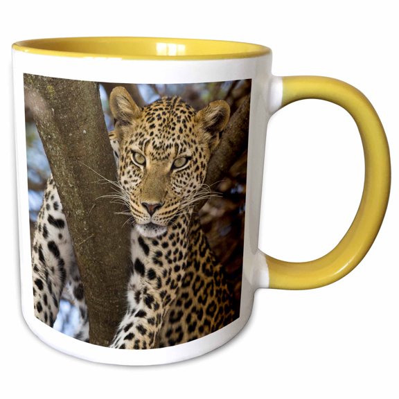 3drose, Africa. Tanzania. Leopard in Tree at Serengeti Np-af45 Rbe0094 - Ralph H. Bendjebar, 11oz Two-tone Yellow Mug