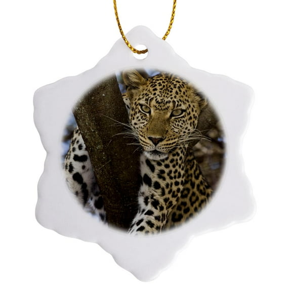 3drose, Africa. Tanzania. Leopard in Tree at Serengeti Np-af45 Rbe0094 - Ralph H. Bendjebar, 3 inch Snowflake Porcelain Ornament