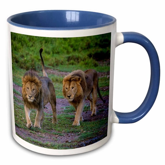 3drose, Africa. Tanzania. Male African Lions at Serengeti National Park., 15oz Two-tone Blue Mug