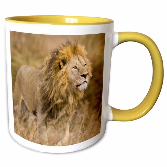 3drose, Africa. Tanzania. Male Lion at Ngorongoro Crater.-af45 Rbe0188 - Ralph H. Bendjebar, 11oz Two-tone Yellow Mug