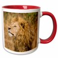 thumbnail image 1 of 3drose, Africa. Tanzania. Male Lion at Ngorongoro Crater.-af45 Rbe0190 - Ralph H. Bendjebar, 11oz Two-tone Red Mug, 1 of 6