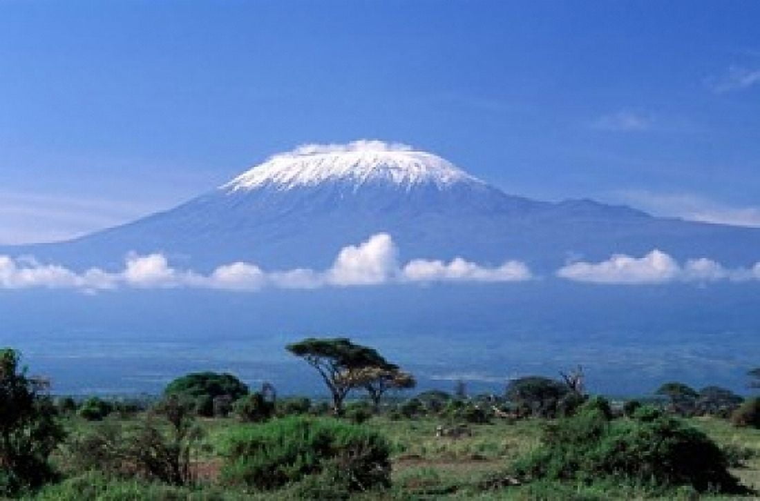 Africa Tanzania Mt Kilimanjaro landscape and zebra Canvas Art - Gavriel Jecan DanitaDelimont (24 x 15)