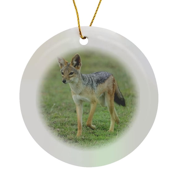 3drose, Africa, Tanzania. Portrait of a Black-backed Jackal., Circle Porcelain Ornament