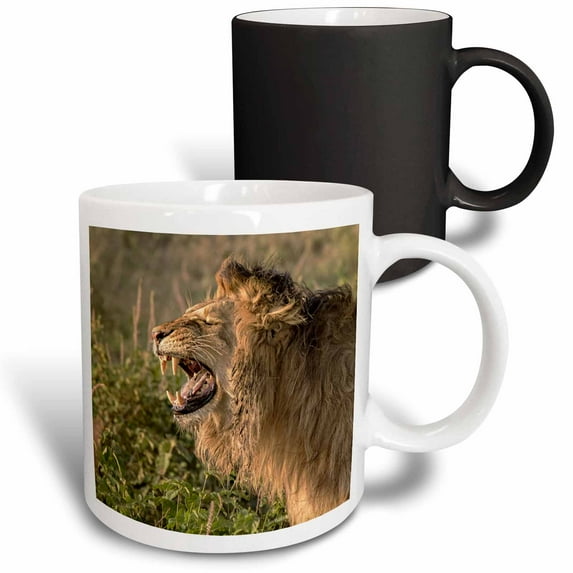 3drose, Africa, Tanzania, Serengeti. Male Lion in the Act of Fleming, 11oz Magic Transforming Mug