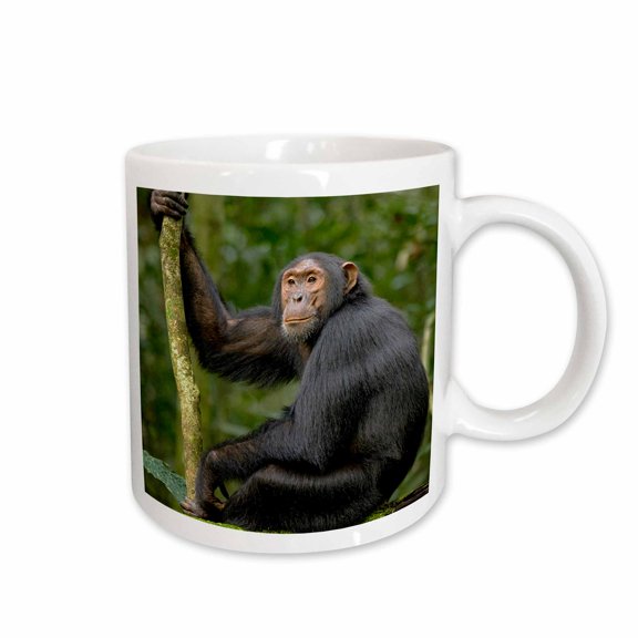 3drose, Africa, Uganda, Kibale National Park. Young Adult Chimpanzee., 15oz Mug