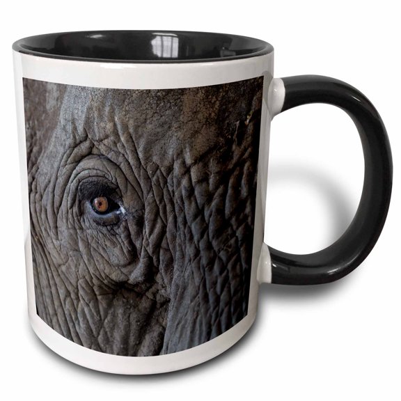 3drose, Africa, Zambia. Close-up of Elephants Eye., 11oz Two-tone Black Mug