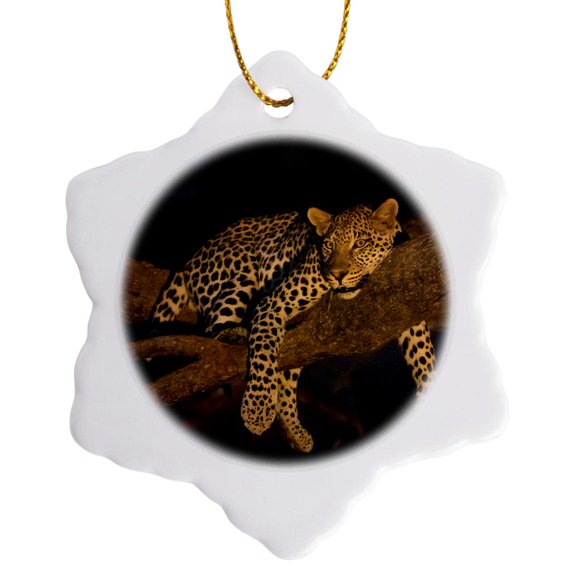3drose, Africa, Zambia. Leopard in Tree at Night., 3 inch Snowflake Porcelain Ornament