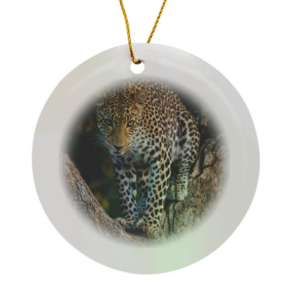 3drose, Africa, Zambia. Portrait of Leopard in Tree., Circle Porcelain Ornament