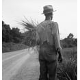 thumbnail image 1 of African American Man In Living In Rural Mississippi Near Vicksburg On A Road Where He Has Gathered Some Grass. His Ragged Clothing Indicates His Poverty. July 1936 Photo By Dorothea Lange. History (24, 1 of 1