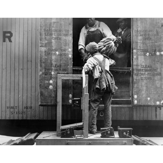 African American Men Loading Bananas History (36 x 24)