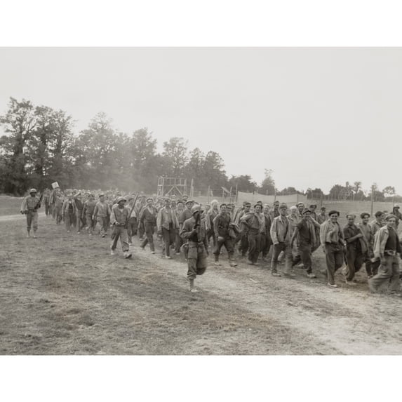 African American Military Police Guard German Pow'S In France. Aug. 18 History (24 x 18)