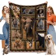 thumbnail image 1 of African Animals Blanket for Women Mens Kids, Cute Soft Warm Flannel Animals Throw Blanket for Christmas Thanksgiving Bed Sofa Chair 50x60in, 1 of 6