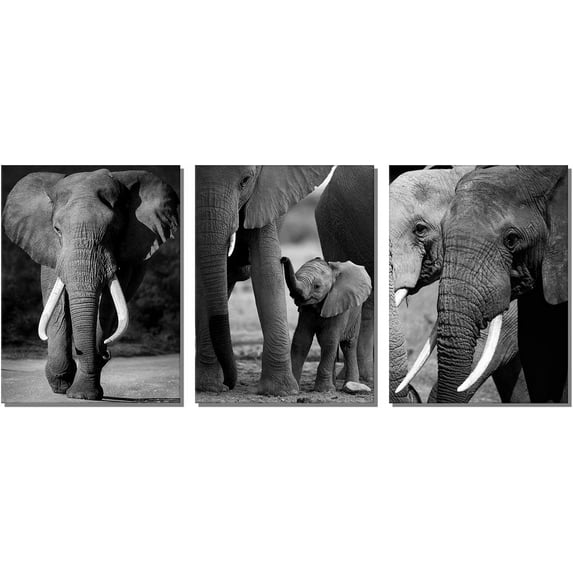 African Animals Canvas Elephant Decor Contemporary Wall Art Decorations for Living Room Office Bedroom Decor(12"x16"x3pcs )