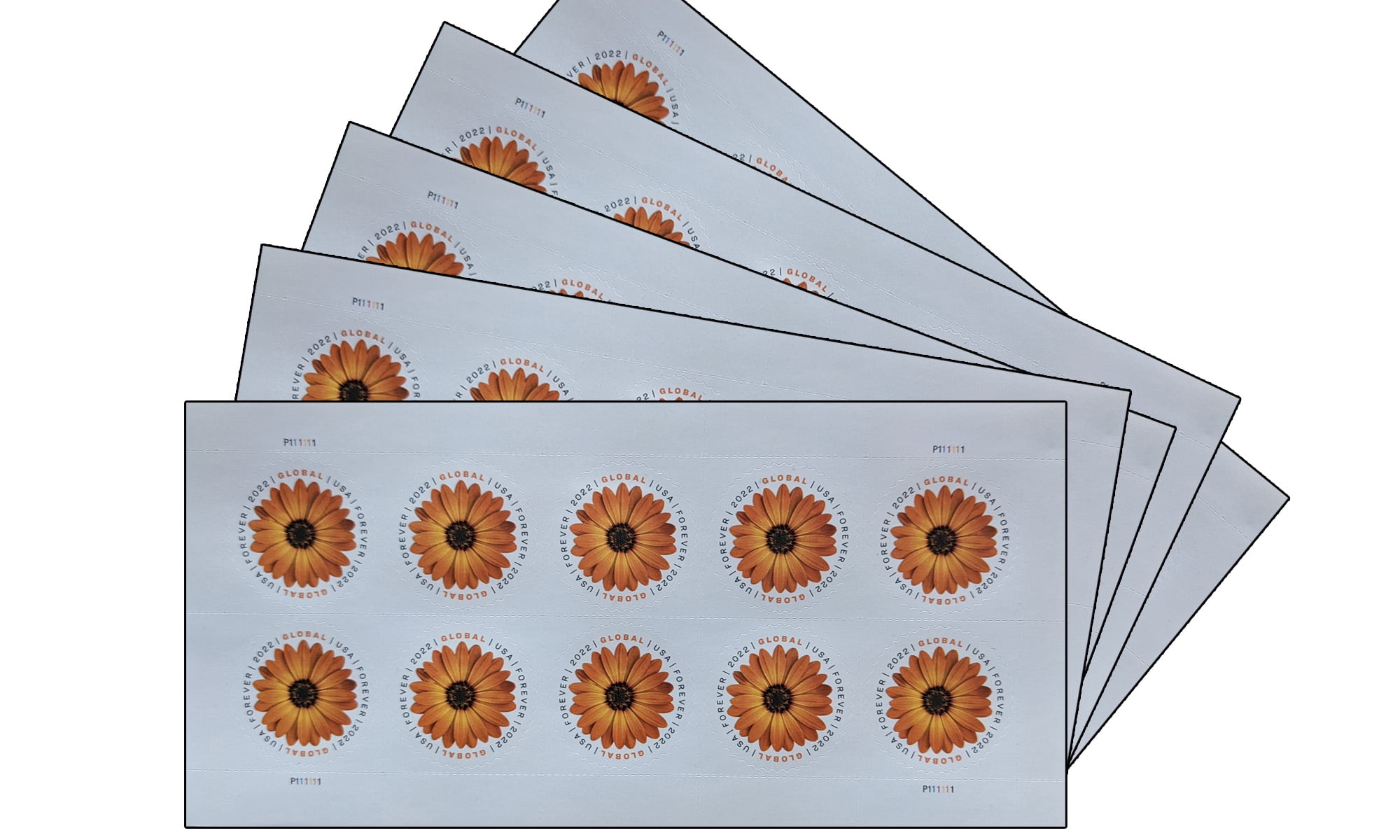 African Daisy Global USPS Forever Postage Stamp 5 Sheets of 10 US First  Class International Postal Celebrate Flower Wedding Holiday (50 Stamps) -  Walmart.com