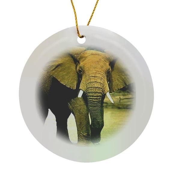 3drose, African Elephant, Circle Porcelain Ornament