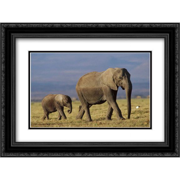 African Elephant mother leading calf, Kenya 2x Matted 24x18 Black Ornate Framed Art Print by Fitzharris, Tim