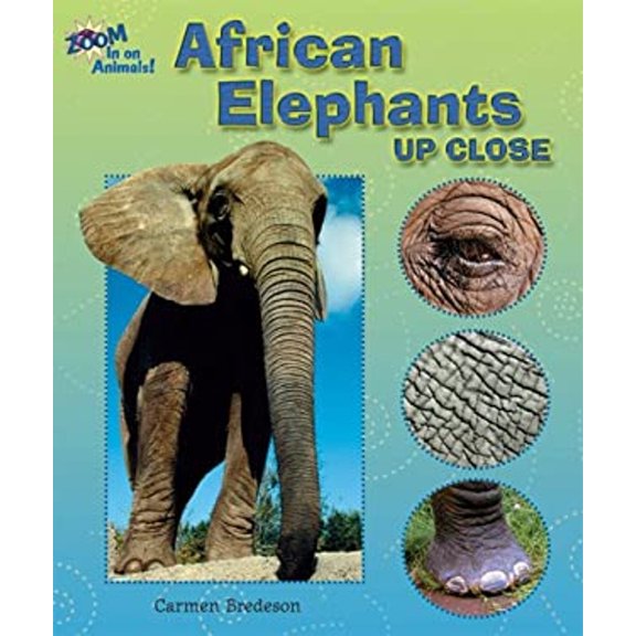 Pre-Owned African Elephants Up Close (Library Binding) 0766024997 9780766024991