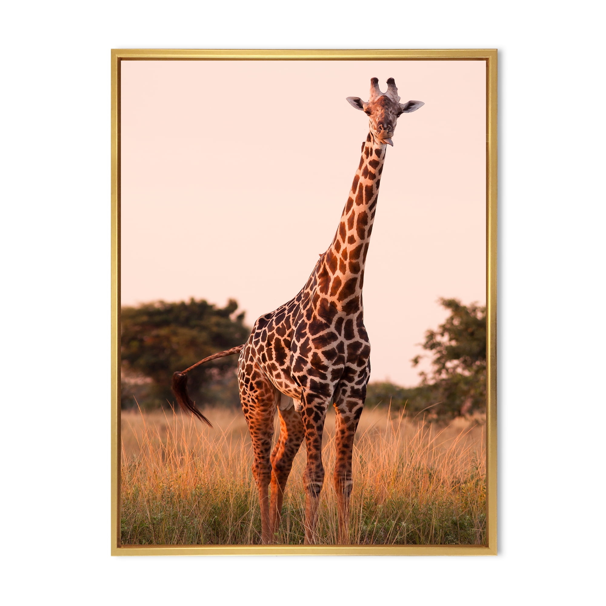 African Giraffe In The Wildlife I 12 in x 20 in Framed Photography Canvas Art Print, by Designart