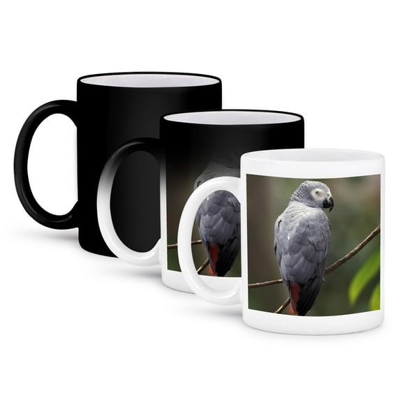 3dRose, African Gray Parrot, Tropical Bird - NA02 AJE0248 - Adam Jones, 11oz Magic Transforming Mug