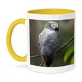 thumbnail image 1 of 3dRose, African Gray Parrot, Tropical Bird - NA02 AJE0248 - Adam Jones, 11oz Two-Tone Yellow Mug, 1 of 7