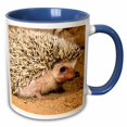 thumbnail image 1 of 3drose, African Hedgehog Wildlife, Native to Africa - Na02 Dno0400 - David Northcott, 15oz Two-tone Blue Mug, 1 of 6