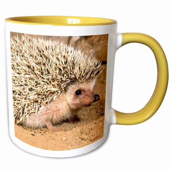 3drose, African Hedgehog Wildlife, Native to Africa - Na02 Dno0400 - David Northcott, 15oz Two-tone Yellow Mug