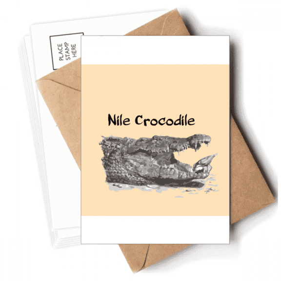 African Large Fish Alligator Postcards Envelopes Blank Note Cards Mailing