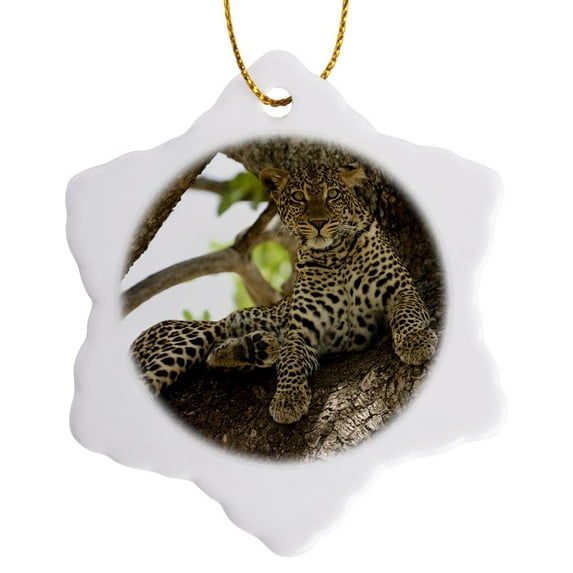 3drose, African Leopard, Masai Mara Gr, Kenya-af21 Jmc0097 - Joe and Mary Ann Mcdonald, 3 inch Snowflake Porcelain Ornament