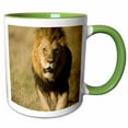 thumbnail image 1 of 3drose, African Lion, Savanna, Masai Mara Gr, Kenya-af21 Jmc0019 - Joe and Mary Ann Mcdonald, 11oz Two-tone Green Mug, 1 of 6