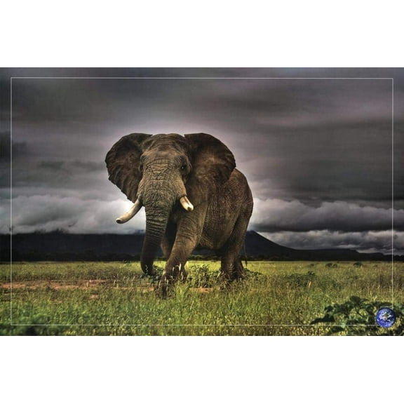 African Majesty, Save Our Planet (Elephant) Laminated Poster Print (36.5 x 24.5)