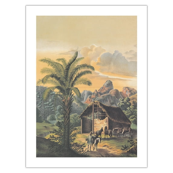 African Oil Palm (Elaeis Guineensis) - Organ Mountains Brazil - Vintage Botanical Illustration by Louis van Houtte c.1861 - Bamboo Fine Art 290gsm Paper Print (Unframed) 24x32in