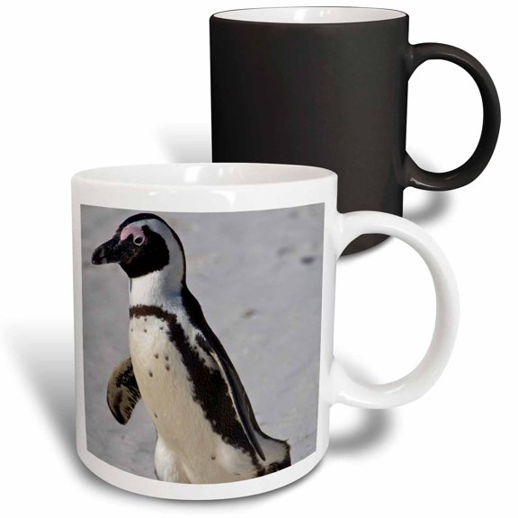 3drose, African Penguin, Boulders Beach, South Africa-af42 Rbe0067 - Ralph H. Bendjebar, 11oz Magic Transforming Mug