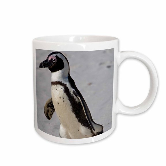 3drose, African Penguin, Boulders Beach, South Africa-af42 Rbe0067 - Ralph H. Bendjebar, 11oz Mug
