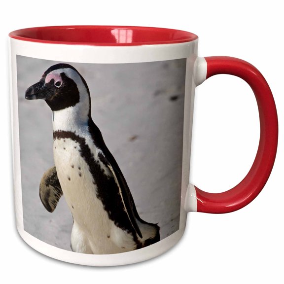 3drose, African Penguin, Boulders Beach, South Africa-af42 Rbe0067 - Ralph H. Bendjebar, 11oz Two-tone Red Mug