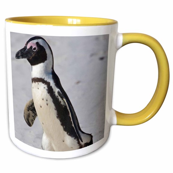 3drose, African Penguin, Boulders Beach, South Africa-af42 Rbe0067 - Ralph H. Bendjebar, 11oz Two-tone Yellow Mug
