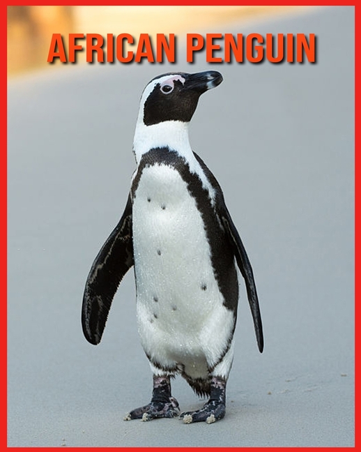 African Penguin : Fun Facts & Cool Pictures (Paperback) - Walmart.com